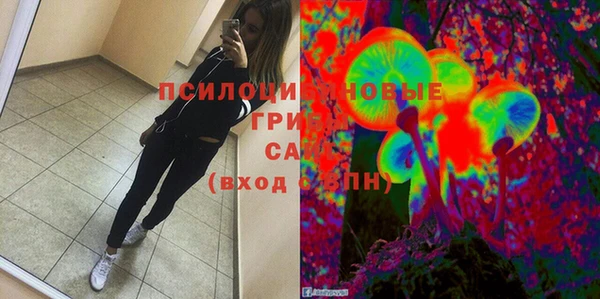 ПСИЛОЦИБИНОВЫЕ ГРИБЫ Алексеевка
