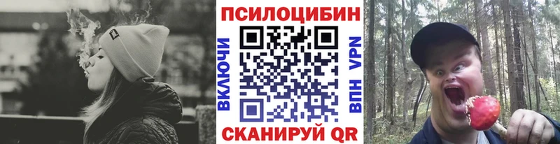 Псилоцибиновые грибы Psilocybine cubensis  Купить  Сухиничи 